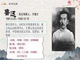 8 回憶魯迅先生（教學(xué)課件） 語文統(tǒng)編版（2024）八年級上冊