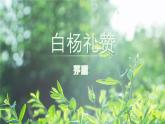 16 白楊禮贊 （教學(xué)課件）初中語文統(tǒng)編版（2024）八年級(jí)上冊(cè)
