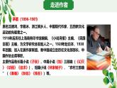 16 白楊禮贊 （教學(xué)課件）初中語文統(tǒng)編版（2024）八年級(jí)上冊(cè)