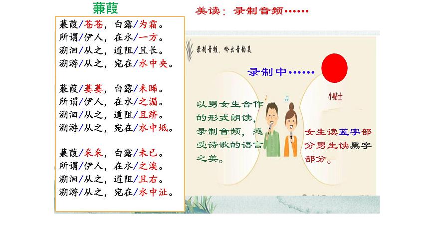 12《诗经》二首  蒹葭 课件统编版八年级语文下册第6页