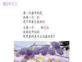 19 紫藤蘿瀑布 課件統(tǒng)編版七年級語文下冊