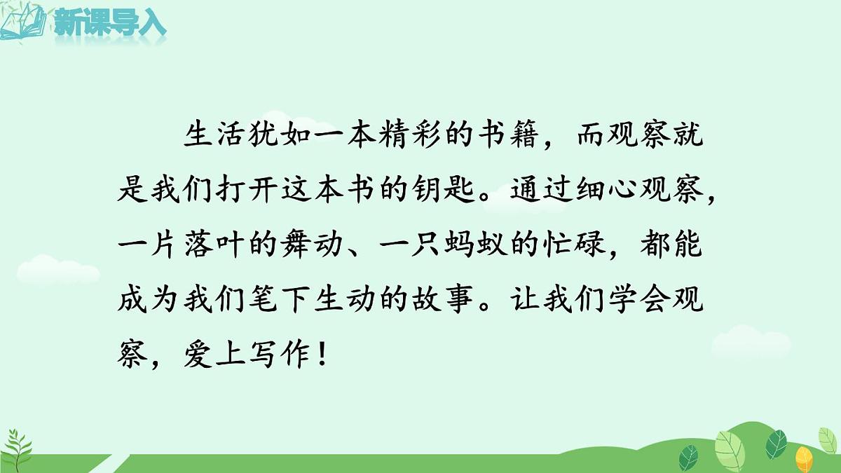 写作  热爱写作，学会观察第1页