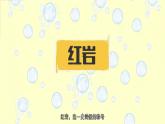 八上第四單元整本書閱讀《紅巖》課件
