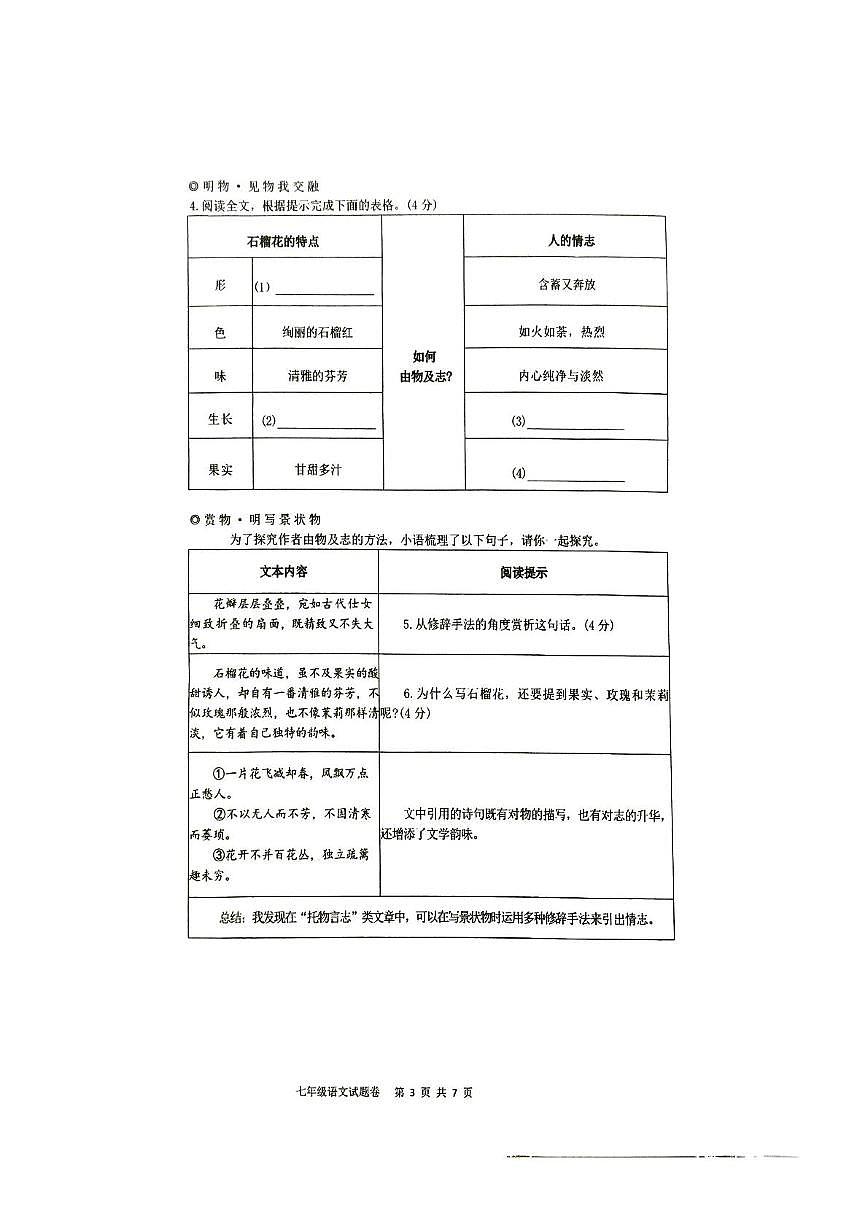 浙江省杭州市萧山区高桥初级中学教育集团2024-2025学年七年级下学期6月月考语文试题（图片版，含答案）第3页