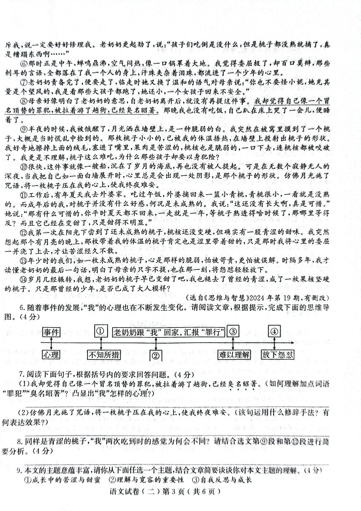 2025年河南省南阳市重点初中联考中考二模语文试题第3页