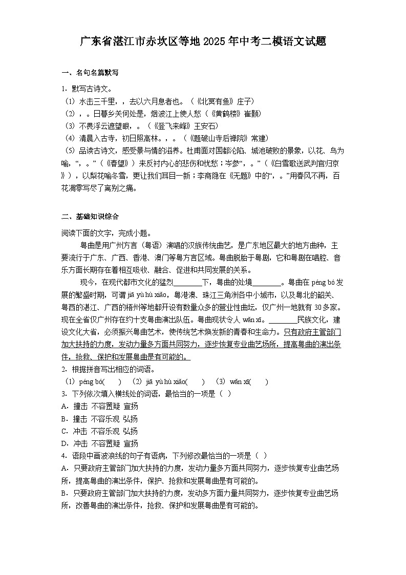 广东省湛江市赤坎区等地2025年中考二模语文试题（含答案）第1页