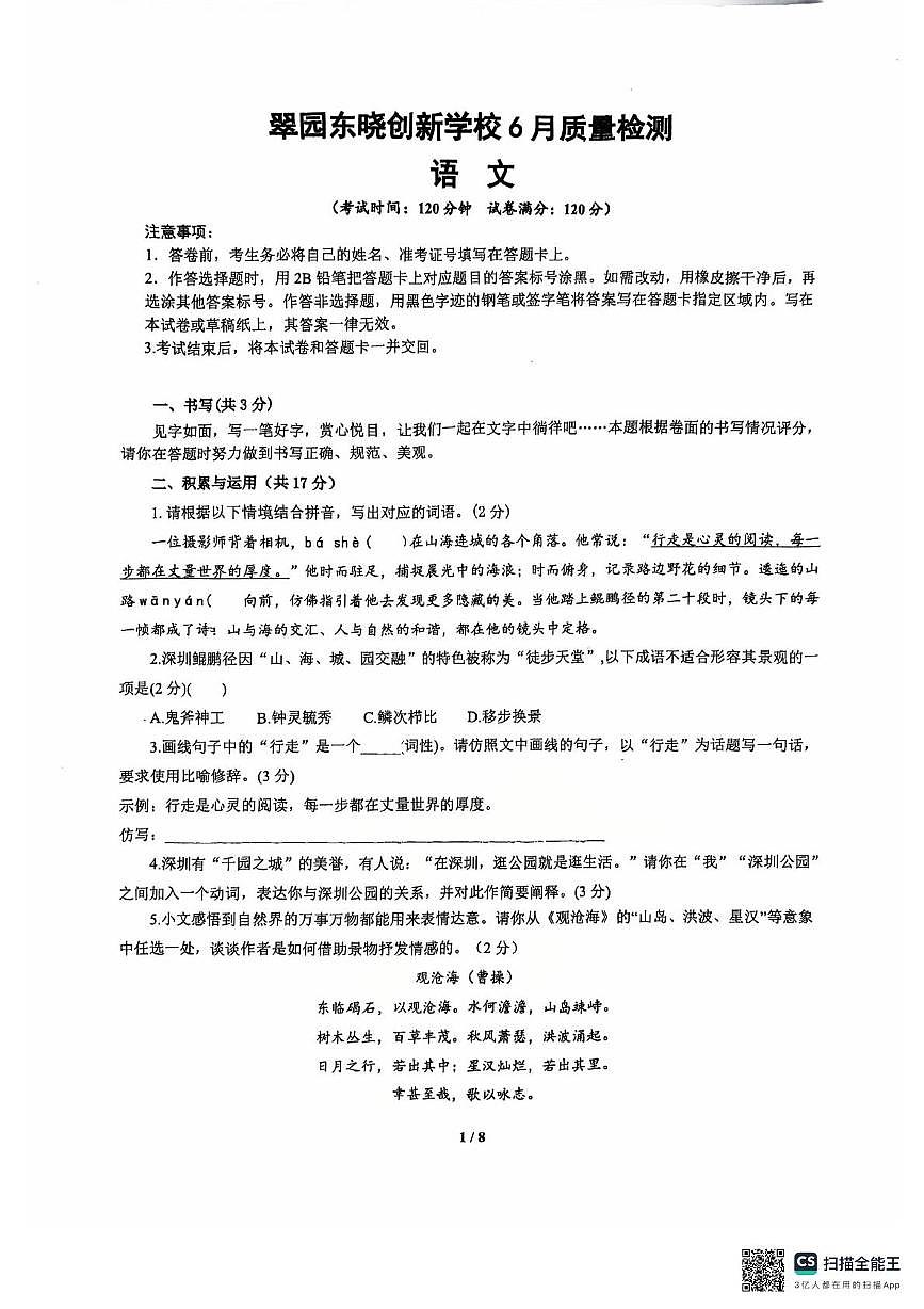 2025年广东省深圳市罗湖区翠园东晓创新学校中考三模语文试题（中考模拟）第1页