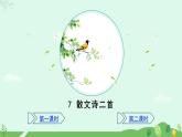 人教部編版（2024）七年級(jí)語文上冊(cè)第2單元7《散文詩二首》課件+教案+素材