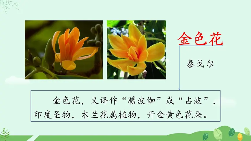 《散文诗二首》课件第4页