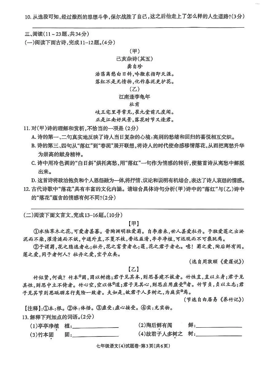 云南省昭通市昭阳区2024-2025学年七年级下学期6月月考语文试卷第3页