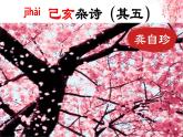 21 古代詩(shī)歌五首己亥雜詩(shī)（其五） 課件2024-2025統(tǒng)編版七年級(jí)語(yǔ)文下冊(cè)
