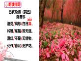 21 古代詩(shī)歌五首己亥雜詩(shī)（其五） 課件2024-2025統(tǒng)編版七年級(jí)語(yǔ)文下冊(cè)
