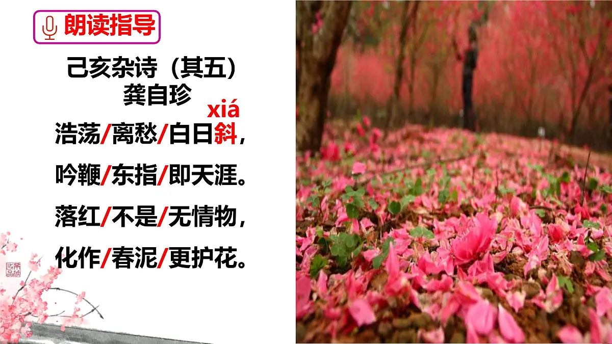 21 古代诗歌五首己亥杂诗（其五） 课件2024-2025统编版七年级语文下册第5页
