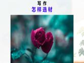 第四單元寫作 怎樣選材 課件統(tǒng)編版七年級語文下冊