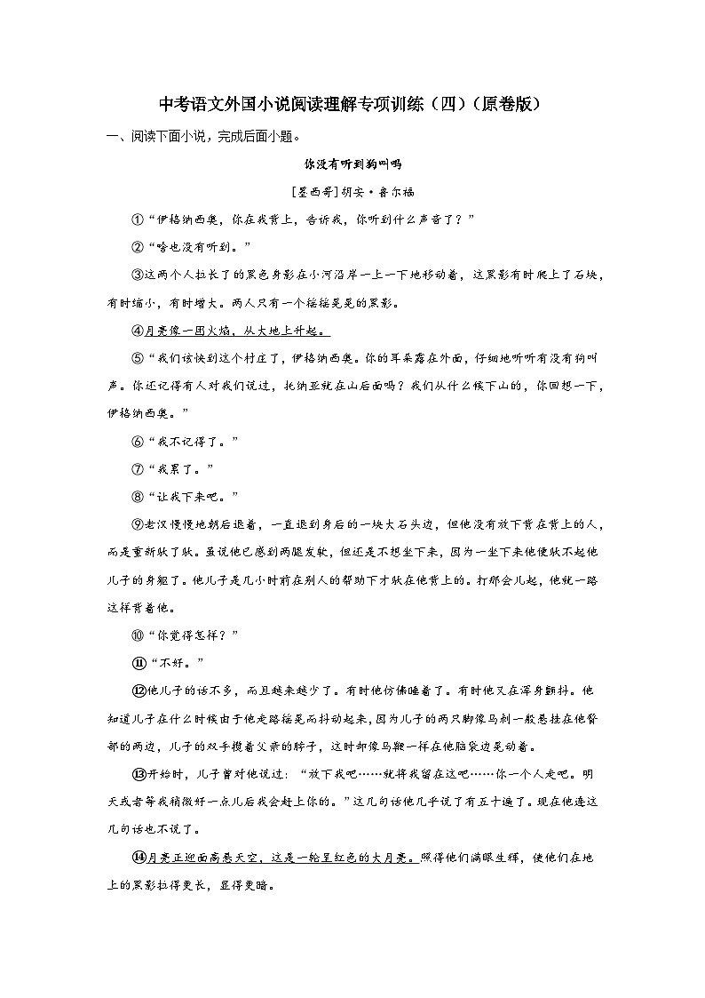 中考语文外国小说阅读理解专项训练（四）（原卷版）-2026年中考语文一轮复习现代文阅读训练（全国通用）第1页