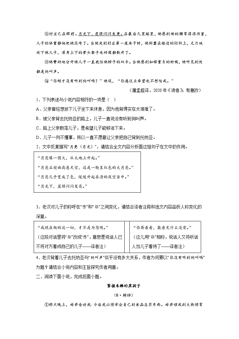 中考语文外国小说阅读理解专项训练（四）（原卷版）-2026年中考语文一轮复习现代文阅读训练（全国通用）第3页