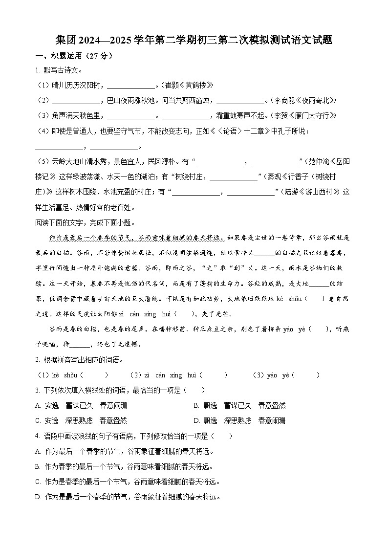 2025年广东省湛江市雷州八中集团中考三模语文试题第1页