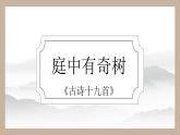 第三單元課外古詩詞誦讀 庭中有奇樹（教學課件）-初中語文統(tǒng)編版（2024）八年級上冊