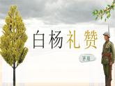 16 白楊禮贊（教學(xué)課件）-初中語文統(tǒng)編版（2024）八年級(jí)上冊(cè)