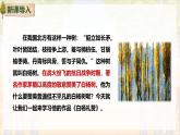 16 白楊禮贊（教學(xué)課件）-初中語文統(tǒng)編版（2024）八年級(jí)上冊(cè)