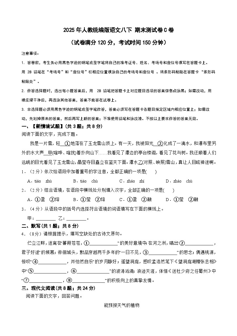 2025年人教统编版语文八下 期末测试 C卷 （含解析）第1页
