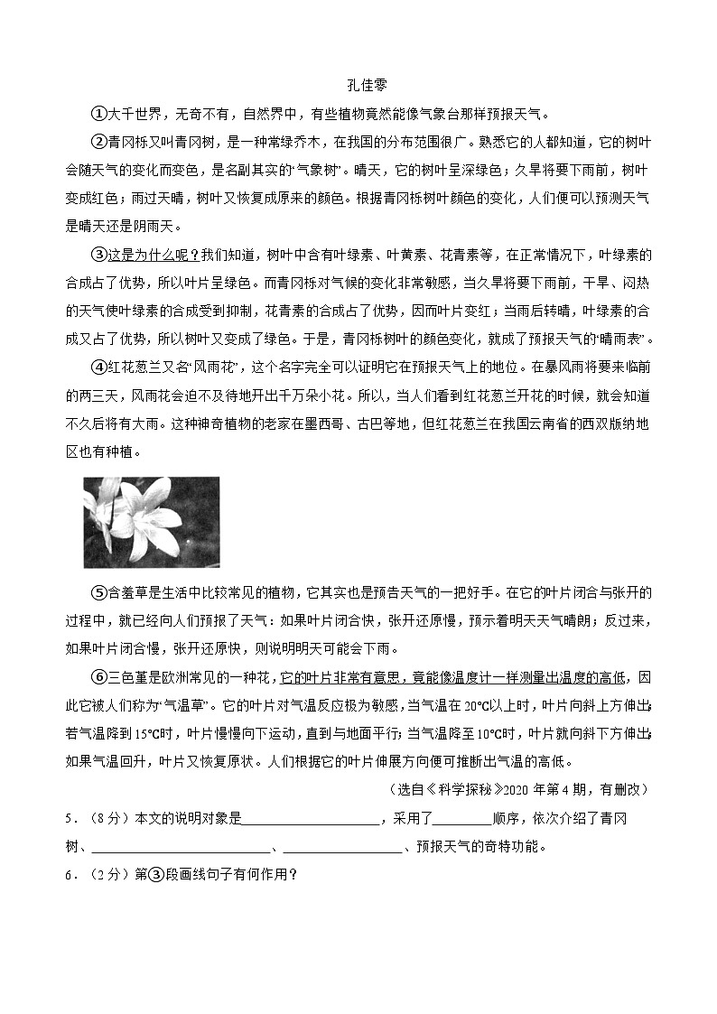 2025年人教统编版语文八下 期末测试 C卷 （含解析）第2页