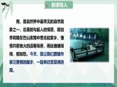 18 昆明的雨（教學(xué)課件）-初中語文統(tǒng)編版（2024）八年級(jí)上冊(cè)