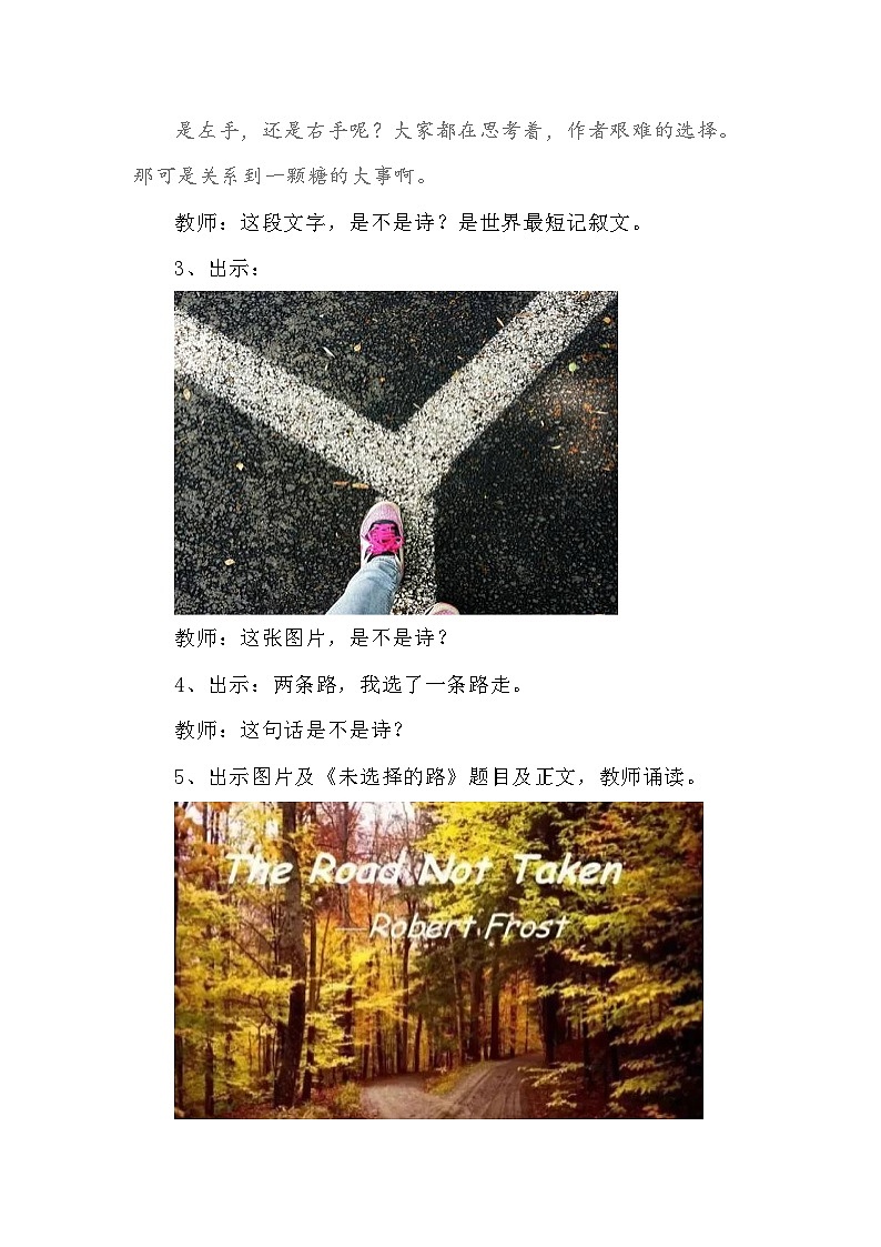 20 外国诗二首-《未选择的路》教学设计第2页