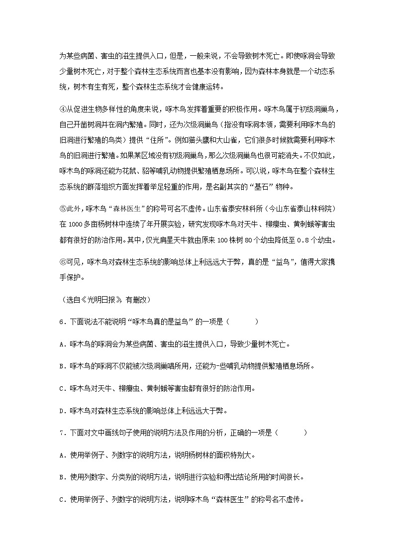 部编版语文八年级下册 第二单元《大雁归来》03练习第3页