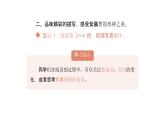 語文統(tǒng)編版（2024）七下第五單元19紫藤蘿瀑布（第1課時）課件