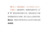 語文統(tǒng)編版（2024）七下第五單元18井岡翠竹（第1課時(shí)）課件