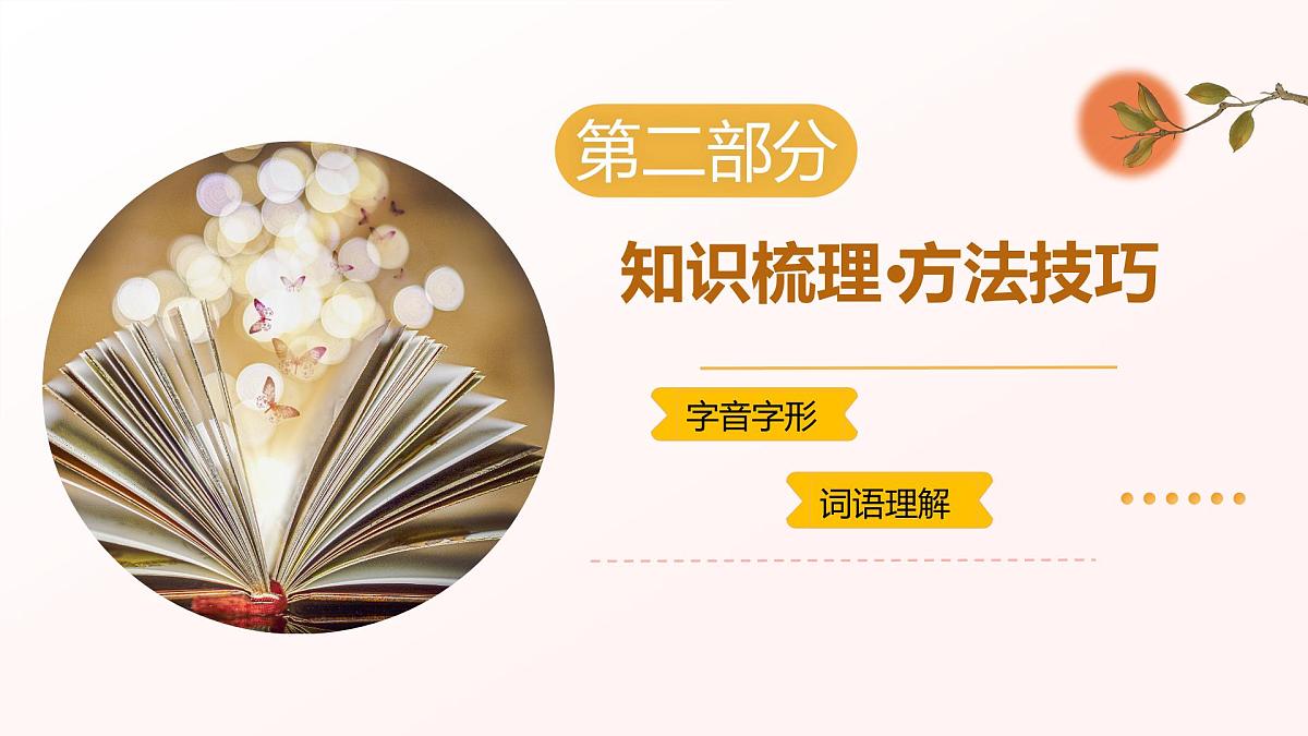 专题01：字音字形词语 考点串讲（课件）-2024-2025学年八年级语文下学期期末考点大串讲（统编版·五四学制）第8页