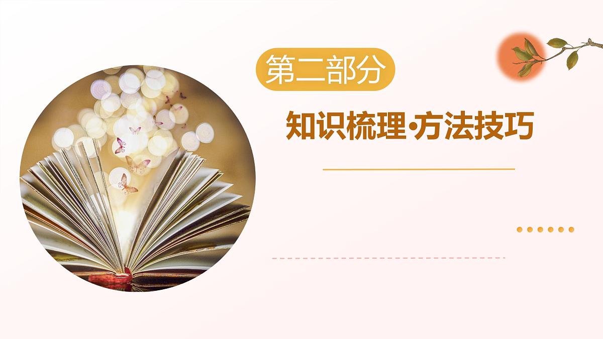 专题09：说明文阅读（考点串讲）（课件）-2024-2025学年八年级语文下学期期末考点大串讲（统编版·五四学制）第7页