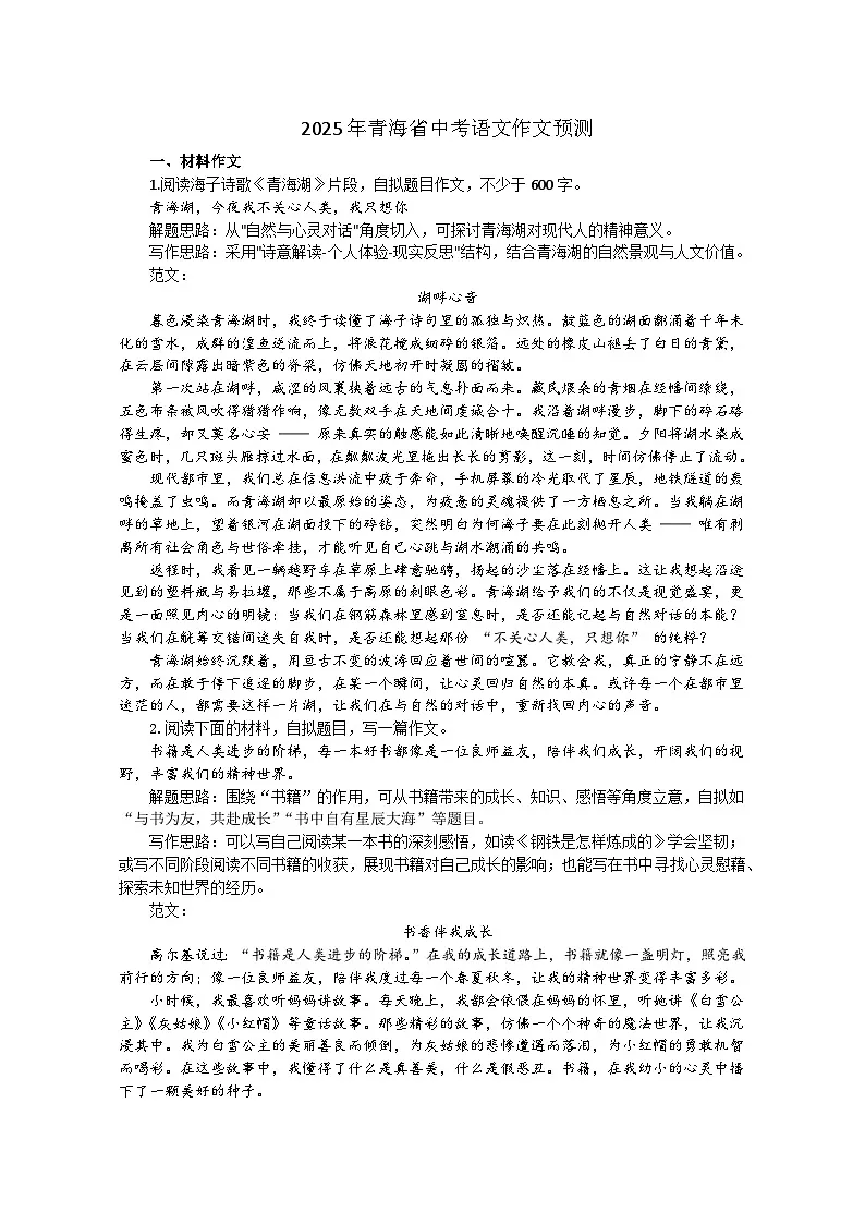 2025年青海省中考语文作文预测讲练第1页