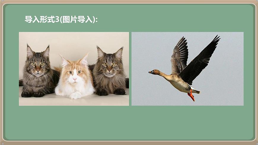 七年级语文上册教学课件-第五单元《任务三 记叙与动物的相处》第5页