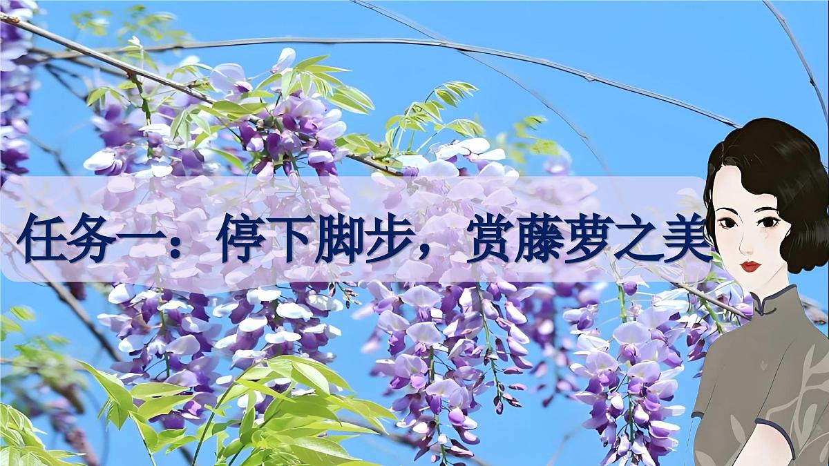 第19课《紫藤萝瀑布》课件-2024-2025学年统编版语文七年级下册第5页