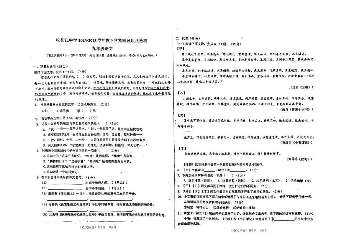 2025年吉林省吉林市丰满区吉林松花江中学中考三模语文试题（中考模拟）第1页