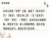 部編版2025-2026年第一學期 七年級 語文上冊 第二單元  閱讀綜合實踐  課件