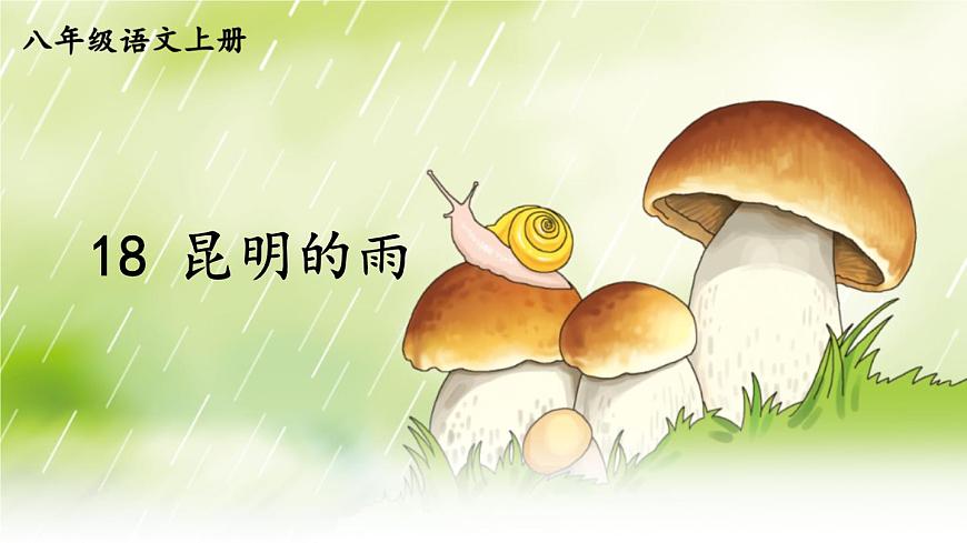 初中语文新人教部编版八年级上册第四单元18 昆明的雨教学课件（2025秋)第2页
