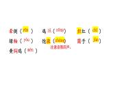 初中語文新人教部編版八年級(jí)上冊(cè)第四單元18 昆明的雨教學(xué)課件（2025秋)