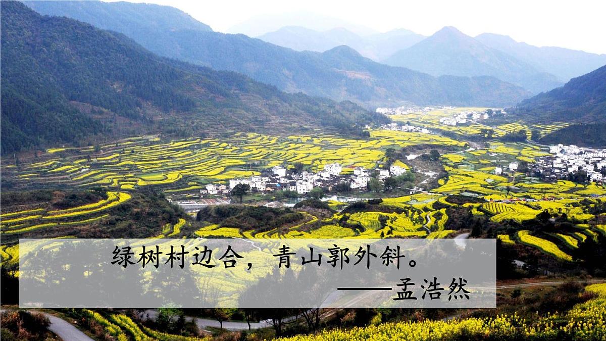 初中语文新人教部编版八年级上册第三单元12 短文二篇教学课件（2025秋)第5页
