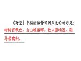 初中語文新人教部編版八年級上冊第六單元26 詩詞五首教學課件（2025秋)