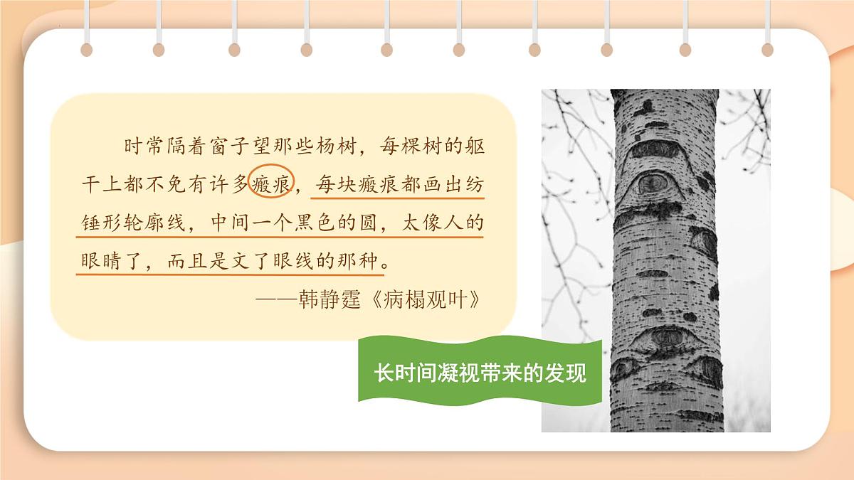 新人教部编语文七上第一单元《热爱写作，学会观察》 教学课件第5页