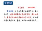 初中語文新人教部編版八年級(jí)上冊(cè)第一單元4 “飛天”凌空——跳水姑娘呂偉奪魁記上課課件（考點(diǎn)精講版）（2025秋）