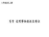 初中語文新人教部編版八年級上冊第五單元寫作 說明事物要抓住特征上課課件（考點(diǎn)精講版）（2025秋）