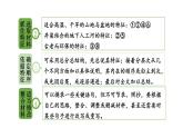 初中語文新人教部編版八年級上冊第五單元寫作 說明事物要抓住特征上課課件（考點(diǎn)精講版）（2025秋）