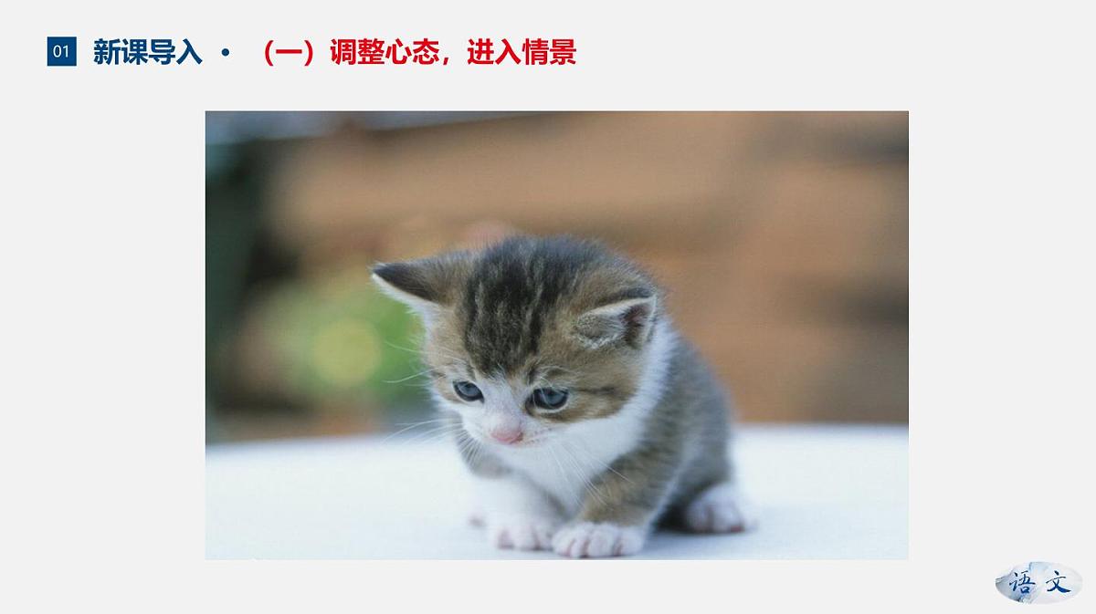 新人教部编版语文七上 5-17《猫》--课件第6页