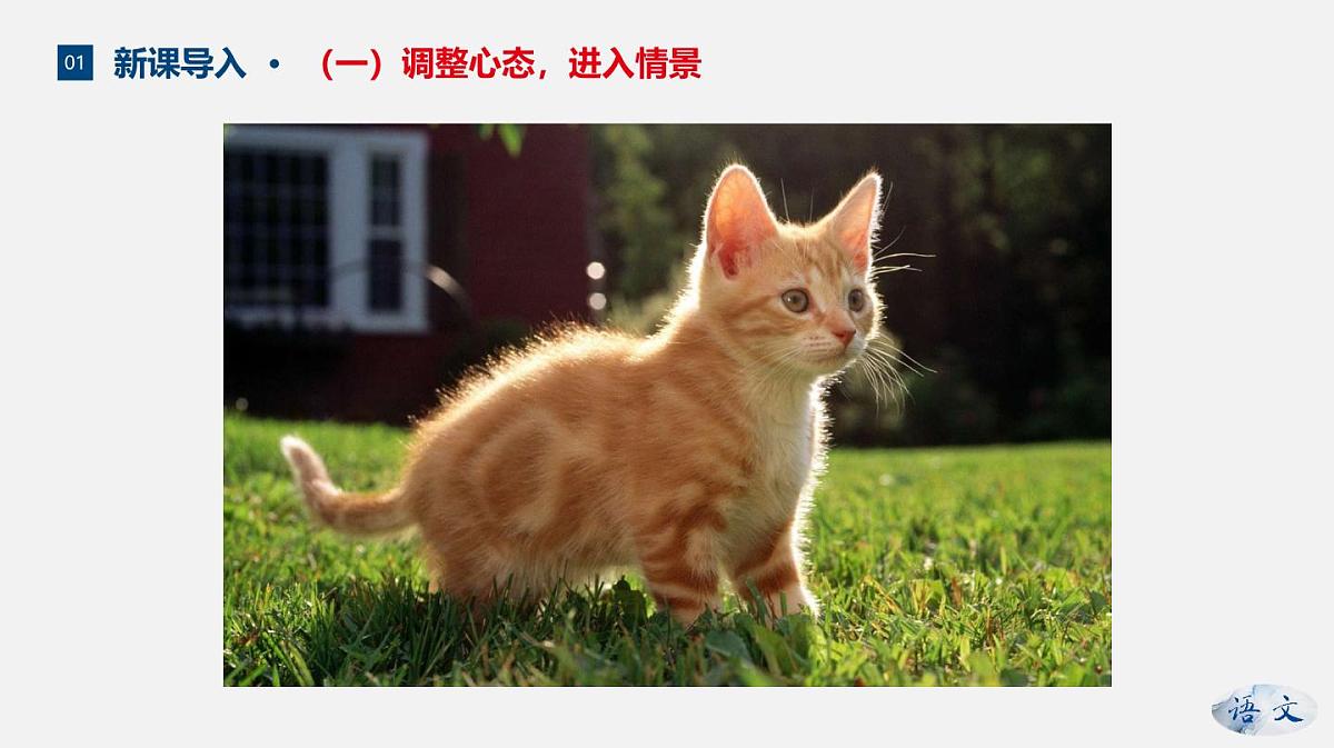 新人教部编版语文七上 5-17《猫》--课件第7页