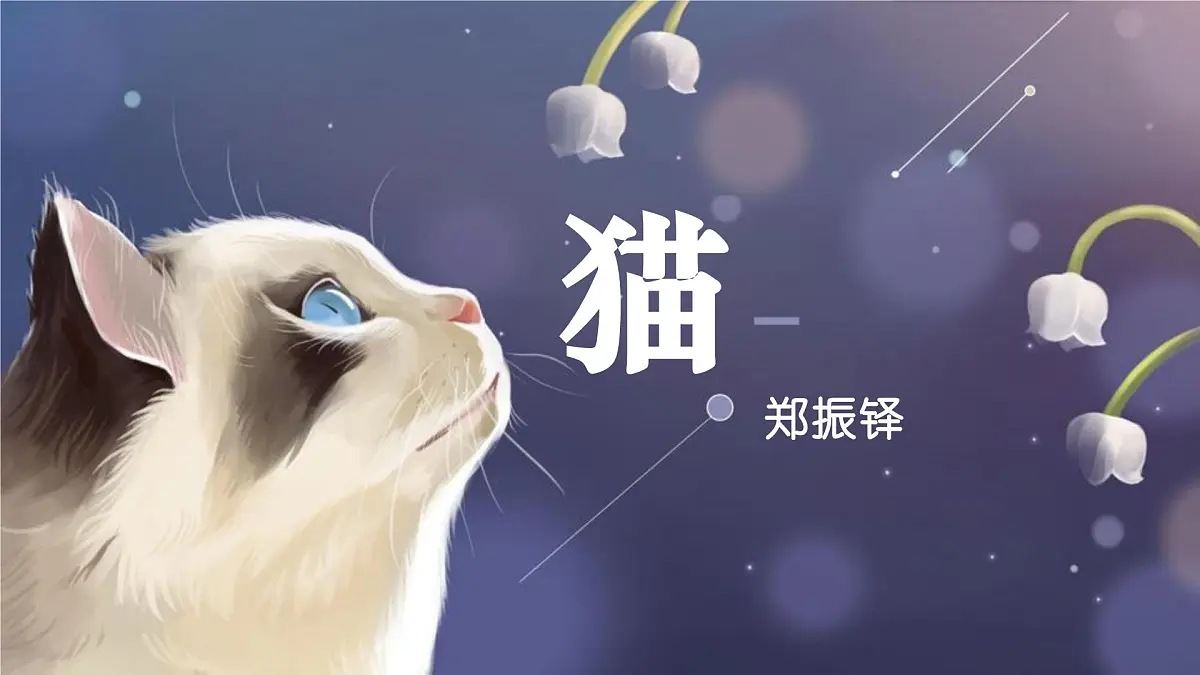 新人教部编版语文七上 5-17《猫》课件（凡是生命皆平等）第1页