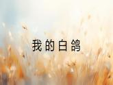 新人教部編版語文七上 5-18《我的白鴿》課件